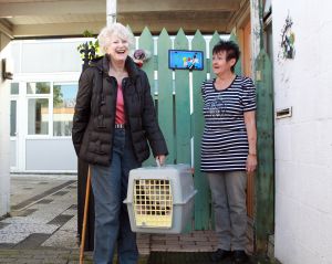 25-10-2012 SHOWBIZZ; ADELE BLOEMENDAAL HAALT NIEUWE VRIENDJES IN HAAR HUIS. Adele Bloemendaal heeft weer 2 nieuwe poesjes in huis gehaalt. Haar vorige 14 jarige Siamees was overleden en het werd tijd voor een nieuw kameraatje. Het werden 2 beeldige broertjes. Prive ging met haar op pad en zorgde voor 2 nieuwe vriendies voor Adele.
foto: Albert den Iseger.