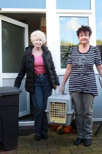 25-10-2012 SHOWBIZZ; ADELE BLOEMENDAAL HAALT NIEUWE VRIENDJES IN HAAR HUIS. Adele Bloemendaal heeft weer 2 nieuwe poesjes in huis gehaalt. Haar vorige 14 jarige Siamees was overleden en het werd tijd voor een nieuw kameraatje. Het werden 2 beeldige bro25-10-2012 SHOWBIZZ; ADELE BLOEMENDAAL HAALT NIEUWE VRIENDJES IN HAAR HUIS. Adele Bloemendaal heeft weer 2 nieuwe poesjes in huis gehaalt. Haar vorige 14 jarige Siamees was overleden en het werd tijd voor een nieuw kameraatje. Het werden 2 beeldige broertjes. Prive ging met haar op pad en zorgde voor 2 nieuwe vriendies voor Adele.
foto: Albert den Iseger.ertjes. Prive ging met haar op pad en zorgde voor 2 nieuwe vriendies voor Adele.
foto: Albert den Iseger.