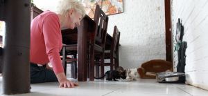 25-10-2012 SHOWBIZZ; ADELE BLOEMENDAAL HAALT NIEUWE VRIENDJES IN HAAR HUIS. Adele Bloemendaal heeft weer 2 nieuwe poesjes in huis gehaalt. Haar vorige 14 jarige Siamees was overleden en het werd tijd voor een nieuw kameraatje. Het werden 2 beeldige broertjes. Prive ging met haar op pad en zorgde voor 2 nieuwe vriendies voor Adele.
foto: Albert den Iseger.