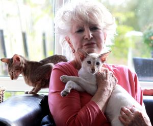 25-10-2012 SHOWBIZZ; ADELE BLOEMENDAAL HAALT NIEUWE VRIENDJES IN HAAR HUIS. Adele Bloemendaal heeft weer 2 nieuwe poesjes in huis gehaalt. Haar vorige 14 jarige Siamees was overleden en het werd tijd voor een nieuw kameraatje. Het werden 2 beeldige broertjes. Prive ging met haar op pad en zorgde voor 2 nieuwe vriendies voor Adele.
foto: Albert den Iseger.