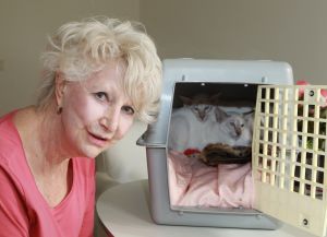 25-10-2012 SHOWBIZZ; ADELE BLOEMENDAAL HAALT NIEUWE VRIENDJES IN HAAR HUIS. Adele Bloemendaal heeft weer 2 nieuwe poesjes in huis gehaalt. Haar vorige 14 jarige Siamees was overleden en het werd tijd voor een nieuw kameraatje. Het werden 2 beeldige broertjes. Prive ging met haar op pad en zorgde voor 2 nieuwe vriendies voor Adele.
foto: Albert den Iseger.