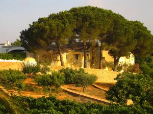05-09-2005 CLIFF RICHARD HEEFT GIGA WIJNGAARD EN HUIS IN PORTUGAL. Cliff heeft een prachtig huis in Portugal gelegen in een indrukwekkende wijngaard, een van de grootste van het land. Het landgoed geheten QUINTA DO MOINHO is gelegen in het zuiden van Portugal. De oogst gaat elk jaar naar een opkoper die er wijn van maakt.
foto:Albert den Iseger.