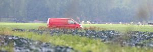17-09-2014 SHOWBIZZ; TOM GROOT IS DE BESTE VANGST OOIT, ZEI YVONNE JASPERS. Tom Groot uit Nieuwe Niedorp is de leukste boer ooit uit alle seizoenen BOER ZOEKT VROUW. Deze week het hele verhaal van Tom en zijn directe omgeving in weekblad PRIVE.
foto: Albert den Iseger