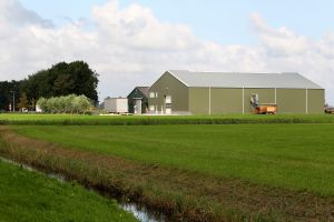 17-09-2014 SHOWBIZZ; TOM GROOT IS DE BESTE VANGST OOIT, ZEI YVONNE JASPERS. Tom Groot uit Nieuwe Niedorp is de leukste boer ooit uit alle seizoenen BOER ZOEKT VROUW. Deze week het hele verhaal van Tom en zijn directe omgeving in weekblad PRIVE.
foto: Albert den Iseger