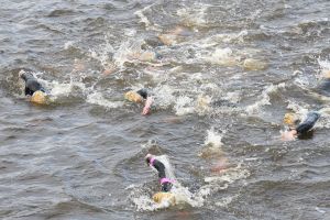 06-09-2015 SHOWBIZZ; MARISKA BAUER ZWEMT MEE MET AMSTERDAM CITY SWIM VOOR A.L.S. Frans was haar coach en schreeuwde haar naar de finish toe. Wat een prestatie van alle BN ers die mee deden.  Mariska Bauer en haar team, Sophie Hilbrand, Mariska Hulscher,Kees van der Spek, Beau van erven Dorens, Ruud Feldkamp, Robert Schumacher en natuurlijk Pieter van den Hoogenband.
foto: Albert den Iseger.