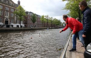 06-09-2015 SHOWBIZZ; MARISKA BAUER ZWEMT MEE MET AMSTERDAM CITY SWIM VOOR A.L.S. Frans was haar coach en schreeuwde haar naar de finish toe. Wat een prestatie van alle BN ers die mee deden.  Mariska Bauer en haar team, Sophie Hilbrand, Mariska Hulscher,Kees van der Spek, Beau van erven Dorens, Ruud Feldkamp, Robert Schumacher en natuurlijk Pieter van den Hoogenband.
foto: Albert den Iseger.